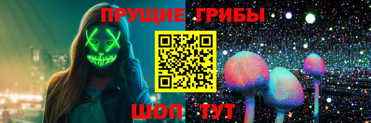 Галлюциногенные грибы Psilocybine cubensis Дедовск
